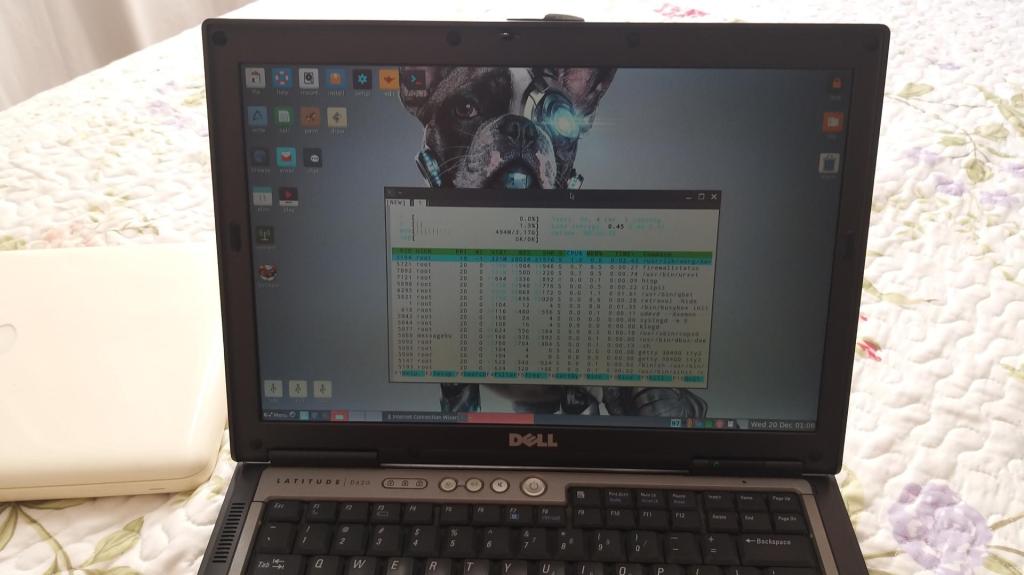 Bionic Puppy Linux running on Dell D620 (made in 2006)